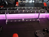 Sygnum dumbbellrek type gym80 - 294x50x74cm