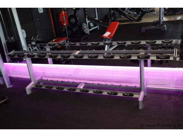Sygnum dumbbellrek type gym80 - 294x50x74cm - afbeelding 2 van  6