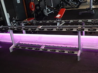 Sygnum dumbbellrek type gym80 - 294x50x74cm - afbeelding 2 van  6