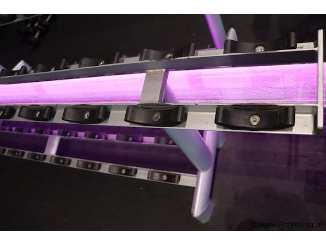 Sygnum dumbbellrek type gym80 - 294x50x74cm - afbeelding 3 van  6