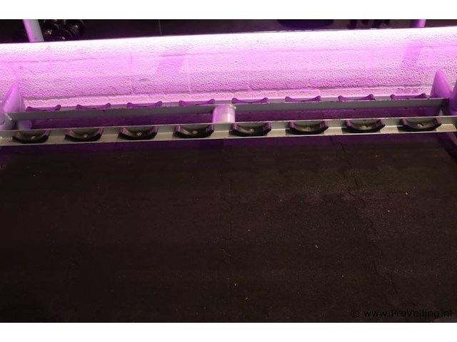 Sygnum dumbbellrek type gym80 - 294x50x74cm - afbeelding 4 van  6