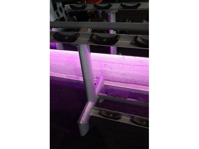 Sygnum dumbbellrek type gym80 - 294x50x74cm - afbeelding 5 van  6