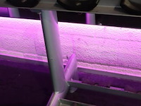 Sygnum dumbbellrek type gym80 - 294x50x74cm - afbeelding 5 van  6