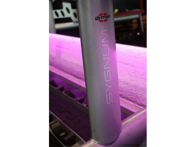 Sygnum dumbbellrek type gym80 - 294x50x74cm - afbeelding 6 van  6