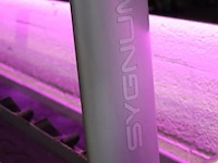 Sygnum dumbbellrek type gym80 - 294x50x74cm - afbeelding 6 van  6