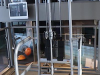 Sygnum fitnessapparaat type gym80 - afbeelding 1 van  8