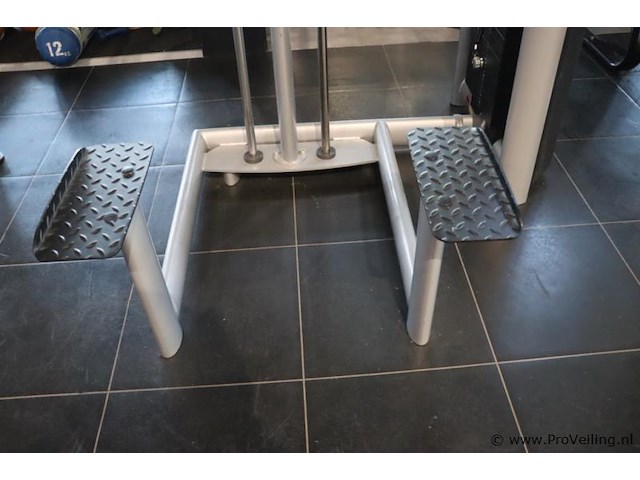 Sygnum gym80 pull-up dipmachine - type gym80 - afbeelding 2 van  8