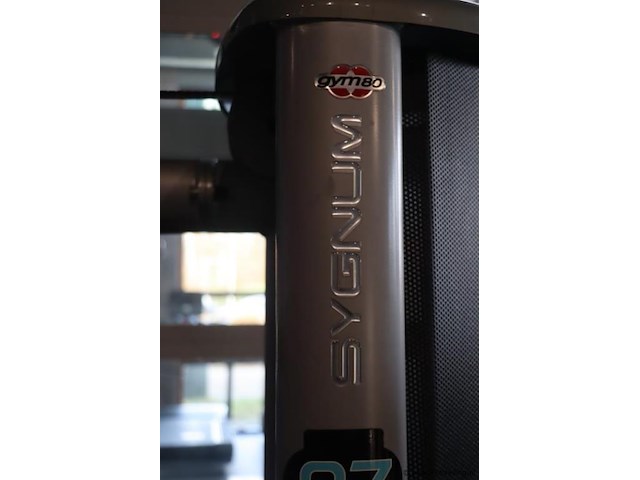 Sygnum gym80 pull-up dipmachine - type gym80 - afbeelding 5 van  8