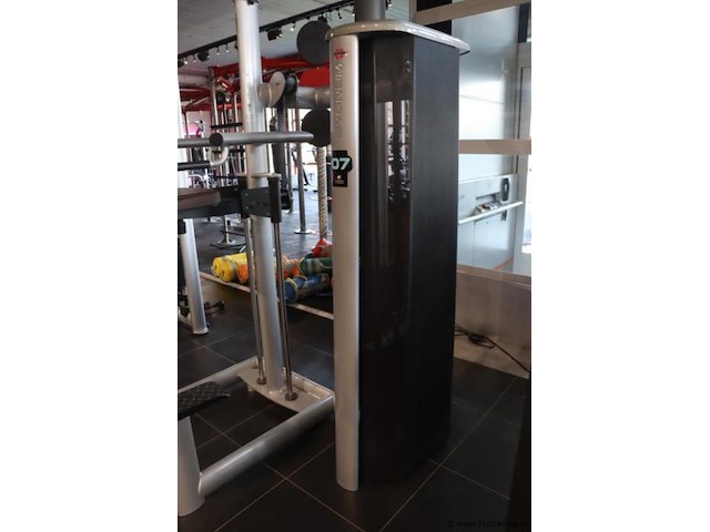 Sygnum gym80 pull-up dipmachine - type gym80 - afbeelding 7 van  8