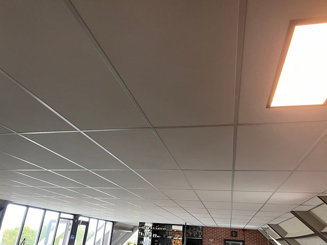 Systeemplafond inclusief 2 led opbouwlampen, wit, 2020 - afbeelding 1 van  6