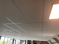 Systeemplafond inclusief 2 led opbouwlampen, wit, 2020 - afbeelding 1 van  6