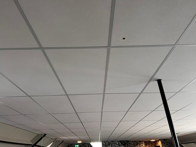 Systeemplafond inclusief 2 led opbouwlampen, wit, 2020 - afbeelding 2 van  6