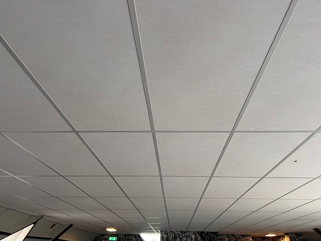 Systeemplafond inclusief 2 led opbouwlampen, wit, 2020 - afbeelding 3 van  6