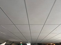 Systeemplafond inclusief 2 led opbouwlampen, wit, 2020 - afbeelding 3 van  6