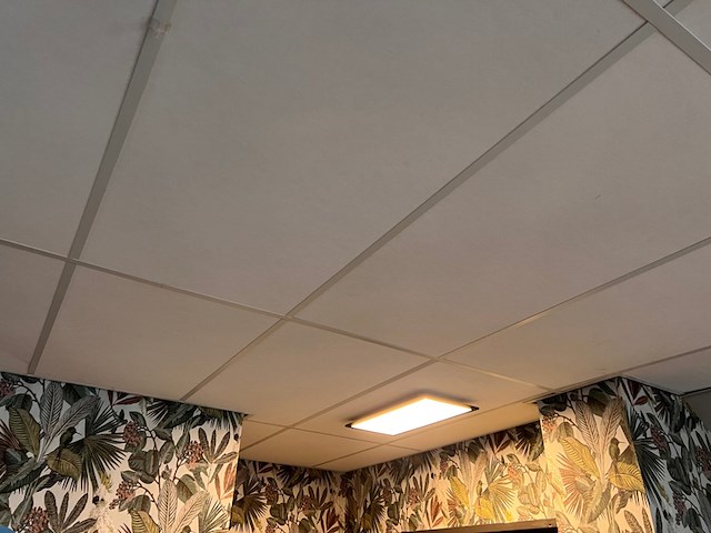 Systeemplafond inclusief 2 led opbouwlampen, wit, 2020 - afbeelding 4 van  6