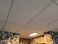 Systeemplafond inclusief 2 led opbouwlampen, wit, 2020 - afbeelding 4 van  6