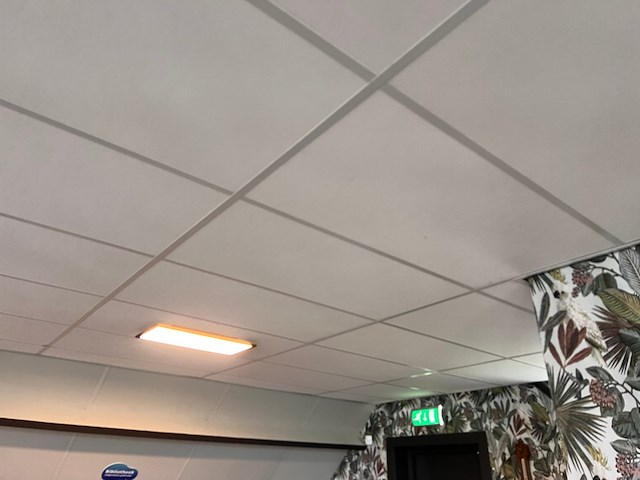 Systeemplafond inclusief 2 led opbouwlampen, wit, 2020 - afbeelding 5 van  6