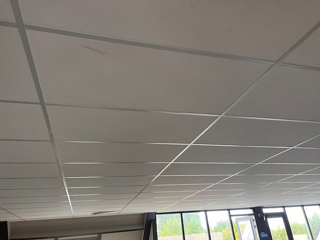 Systeemplafond inclusief 2 led opbouwlampen, wit, 2020 - afbeelding 6 van  6