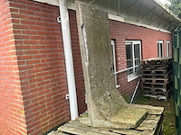 T - keerwand hout betonschutting - afbeelding 1 van  4