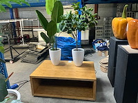 Tafel en kunstplanten - afbeelding 1 van  4