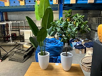 Tafel en kunstplanten - afbeelding 3 van  4