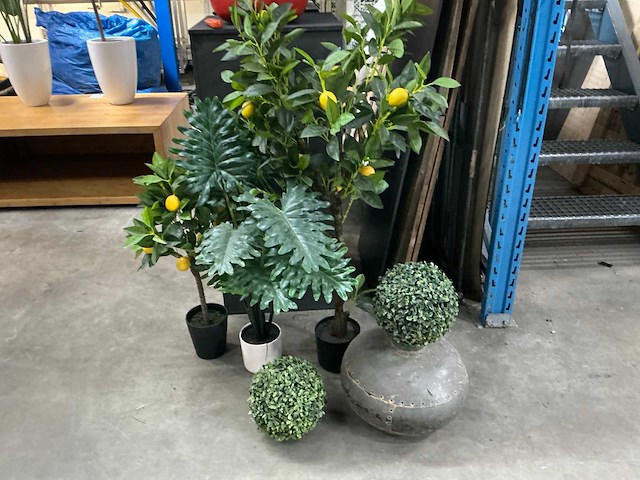 Tafel en kunstplanten - afbeelding 4 van  4