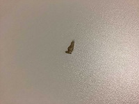 Tafel - afbeelding 4 van  5