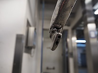 Taifun - afbeelding 2 van  10