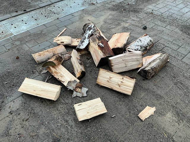 Tajfun - 2016 - rca 480 joy - houthakselaar - afbeelding 13 van  25