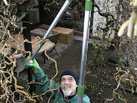 Takkenschaar - afbeelding 4 van  5