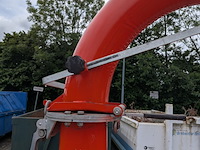 Takkenversnipperaar, caravaggi, cippo 25 - afbeelding 19 van  53