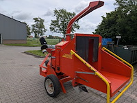 Takkenversnipperaar, caravaggi, cippo 25 - afbeelding 34 van  53