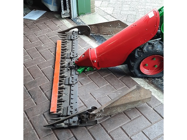 Taludmaaier agria - afbeelding 2 van  14