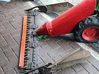 Taludmaaier agria - afbeelding 2 van  14