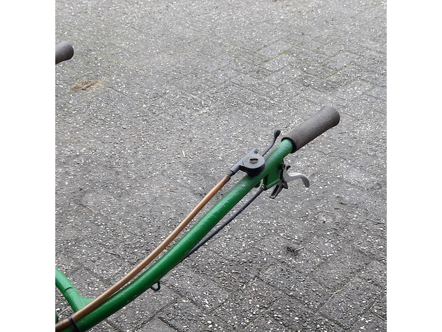 Taludmaaier agria - afbeelding 3 van  14