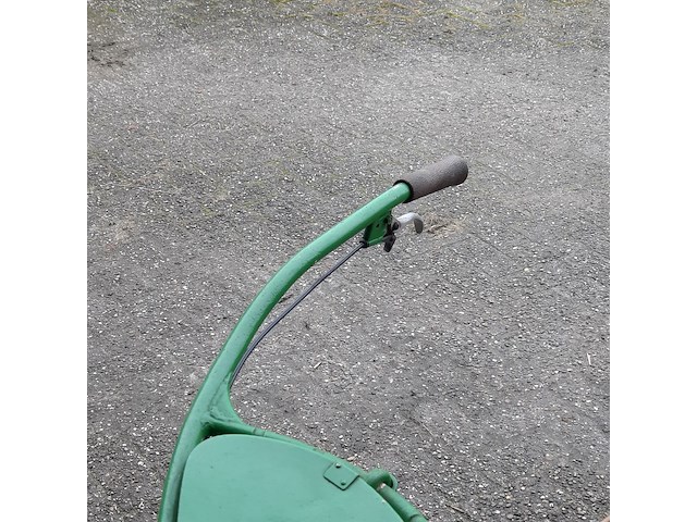 Taludmaaier agria - afbeelding 4 van  14