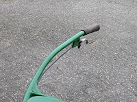 Taludmaaier agria - afbeelding 4 van  14