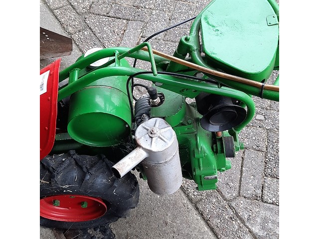 Taludmaaier agria - afbeelding 5 van  14