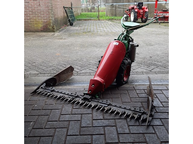 Taludmaaier agria - afbeelding 1 van  14