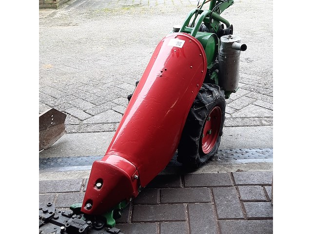 Taludmaaier agria - afbeelding 7 van  14