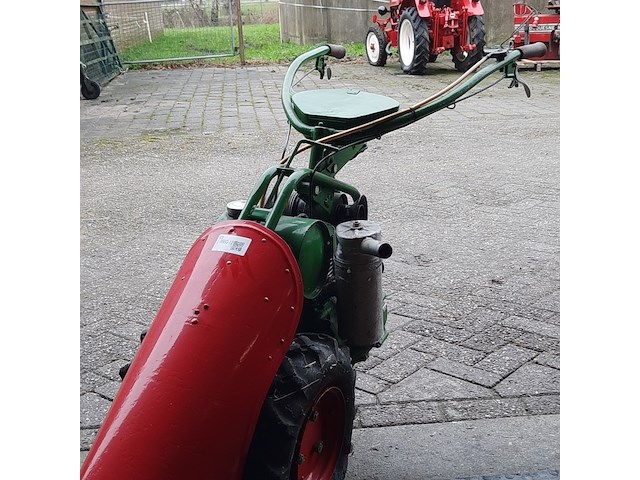 Taludmaaier agria - afbeelding 8 van  14