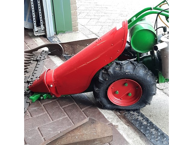 Taludmaaier agria - afbeelding 9 van  14