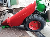 Taludmaaier agria - afbeelding 9 van  14