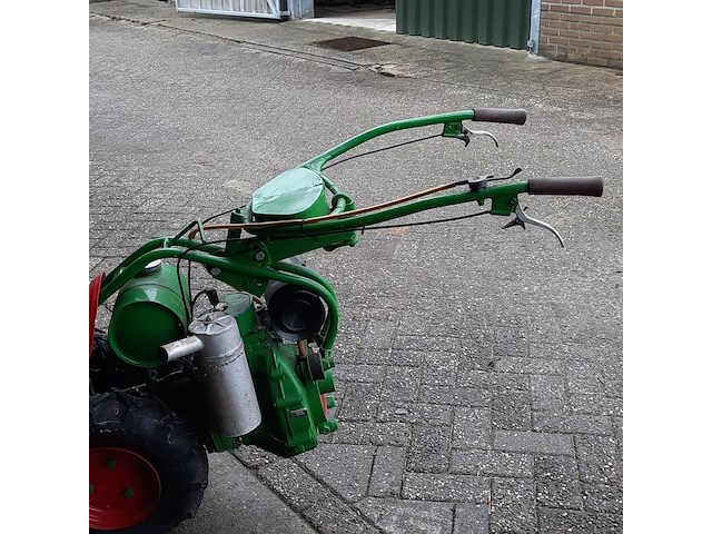 Taludmaaier agria - afbeelding 10 van  14