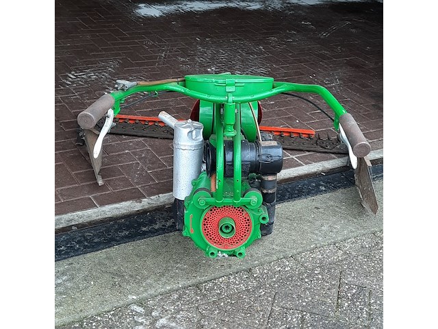 Taludmaaier agria - afbeelding 11 van  14