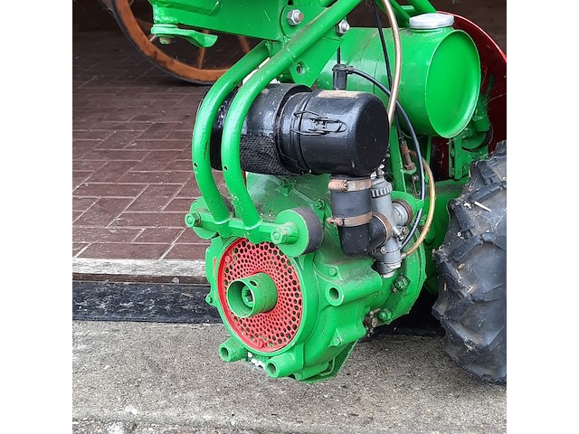 Taludmaaier agria - afbeelding 12 van  14