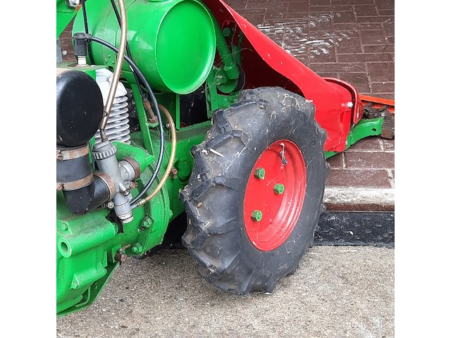 Taludmaaier agria - afbeelding 13 van  14