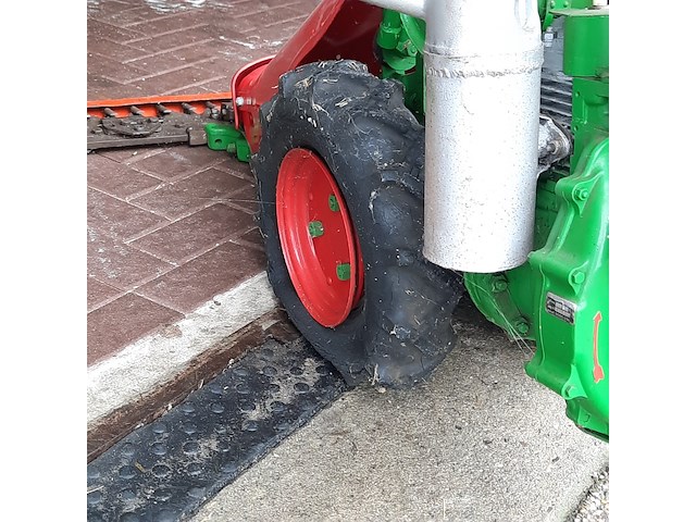 Taludmaaier agria - afbeelding 14 van  14