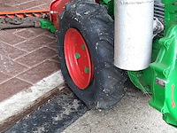 Taludmaaier agria - afbeelding 14 van  14