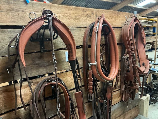 Tandemtuig - afbeelding 1 van  7